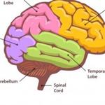 Types of Dementia: Frontotemporal Dementia